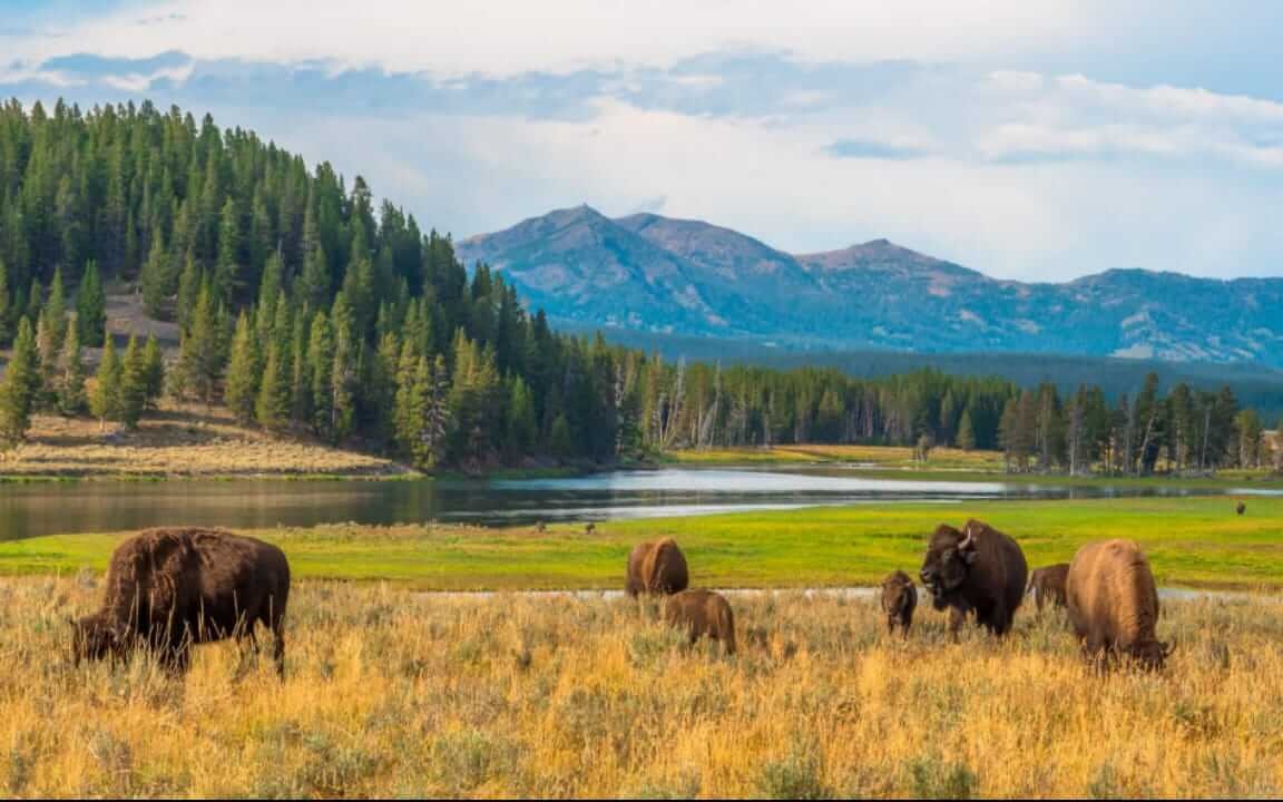 imgi_74_4e7e6bf3-b931-44a1-9dca-1f04c423eaa9